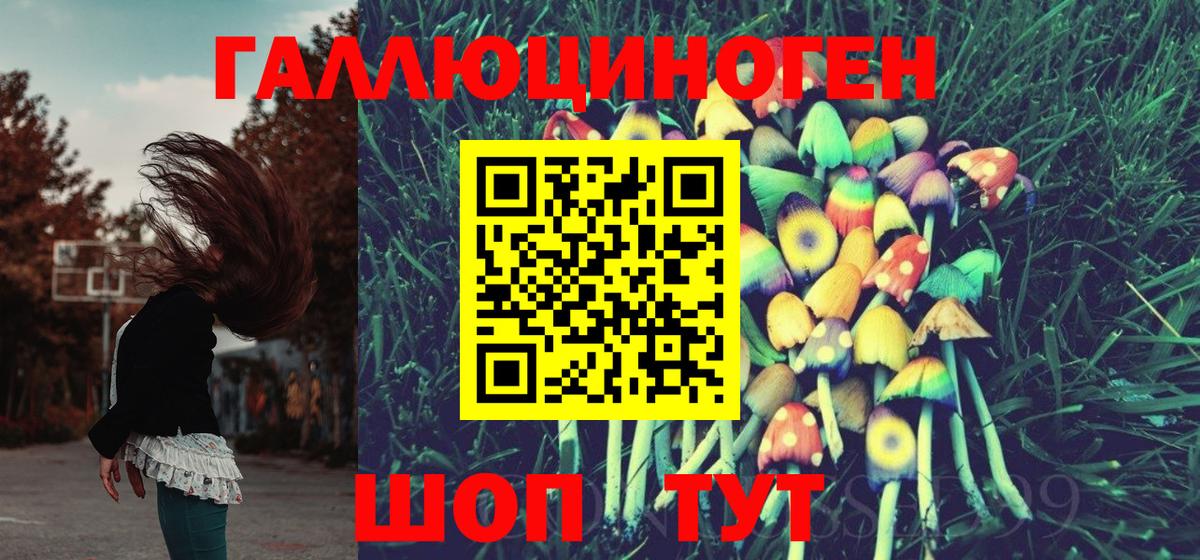 Галлюциногенные грибы прущие грибы Тосно